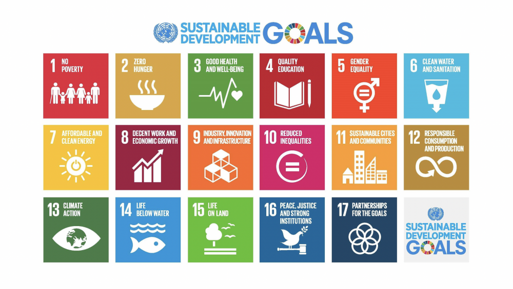 un-sustainable-goals-with-border